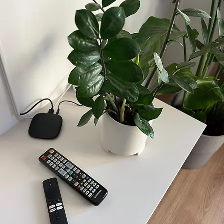 Chic & Cozy Near Nivy Station *