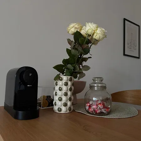 Apartament Chic & Cozy Near Nivy Station